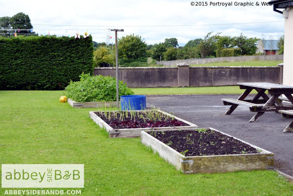 Abbeyside B&B Ballintober  Екстер'єр фото
